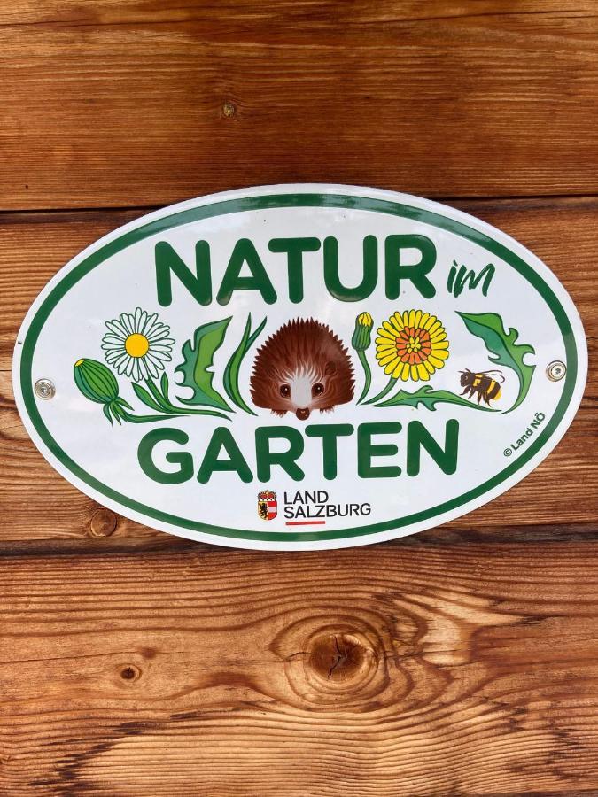 Apartamento Zur Lieben Sonne Filzmoos Exterior foto