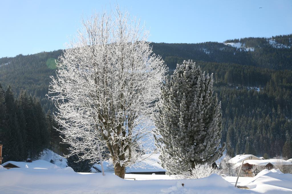 Apartamento Zur Lieben Sonne Filzmoos Habitación foto